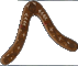boomerang